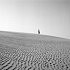 Mauritanie 2002